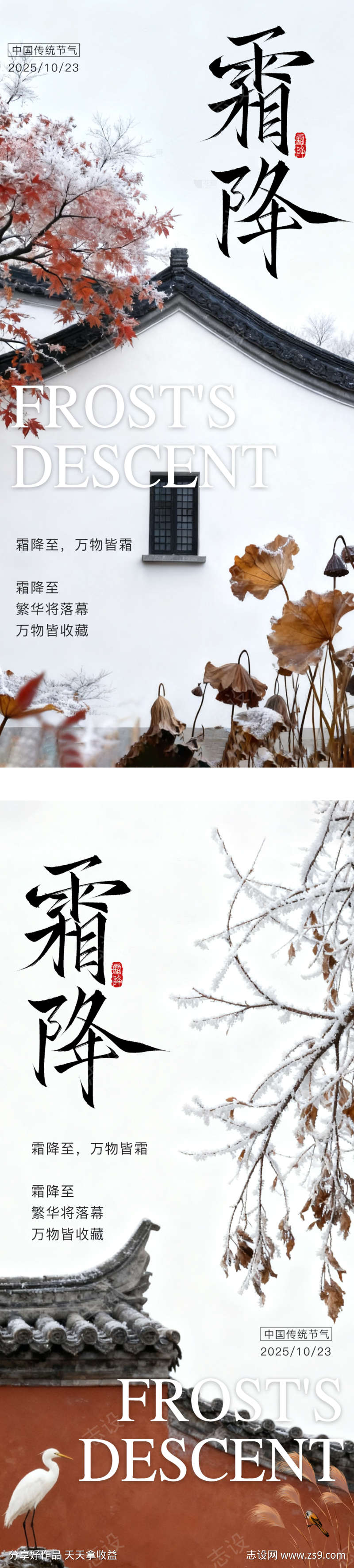 霜降节气海报