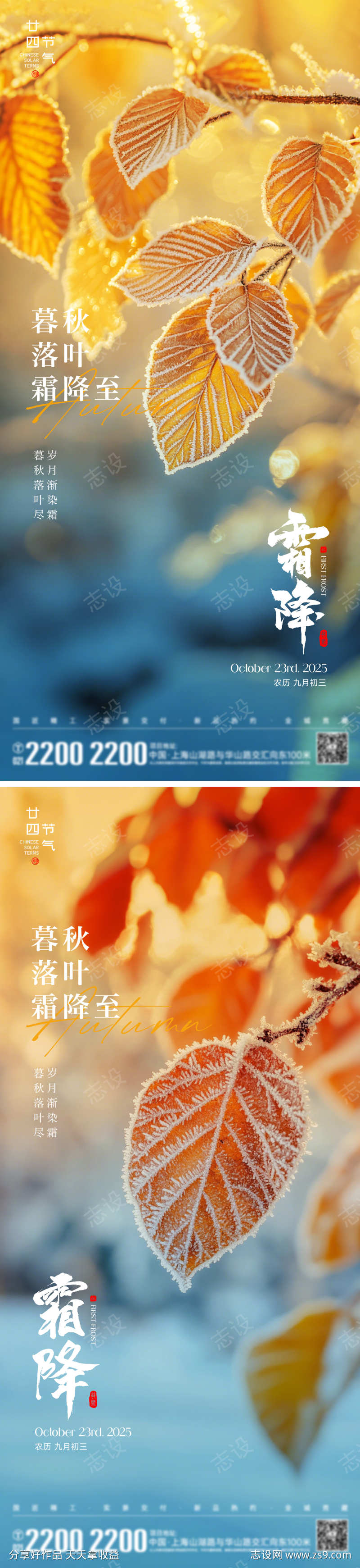 霜降节气海报