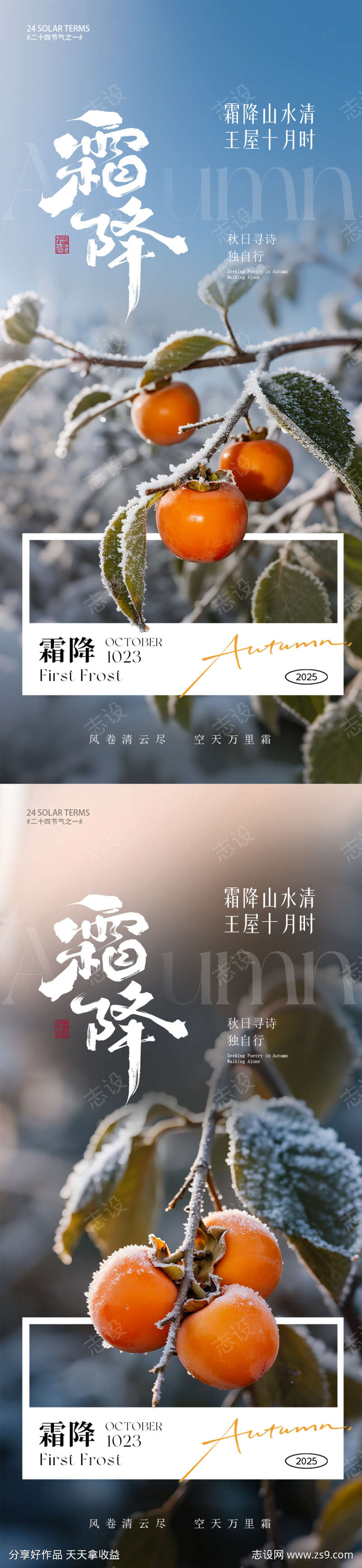 霜降节气海报