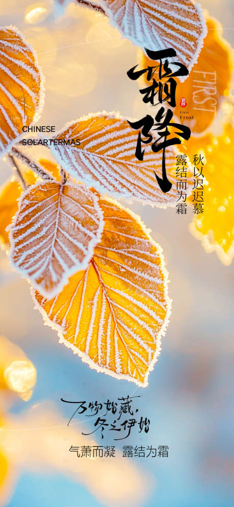霜降节气海报_源文件下载_PSD格式_1080X2338像素-海报,节气,霜降-作品编号:2025101016592421-志˓设′网