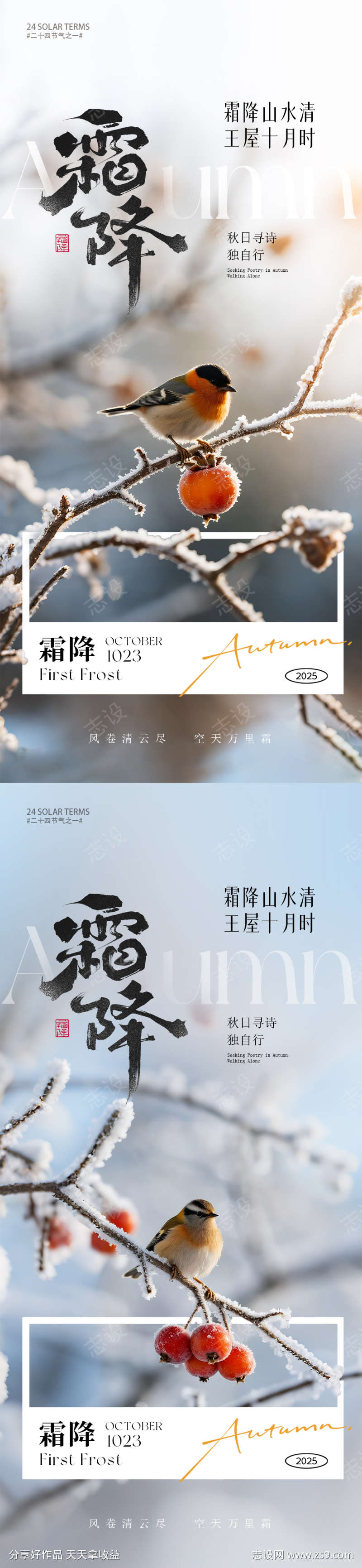霜降节气海报