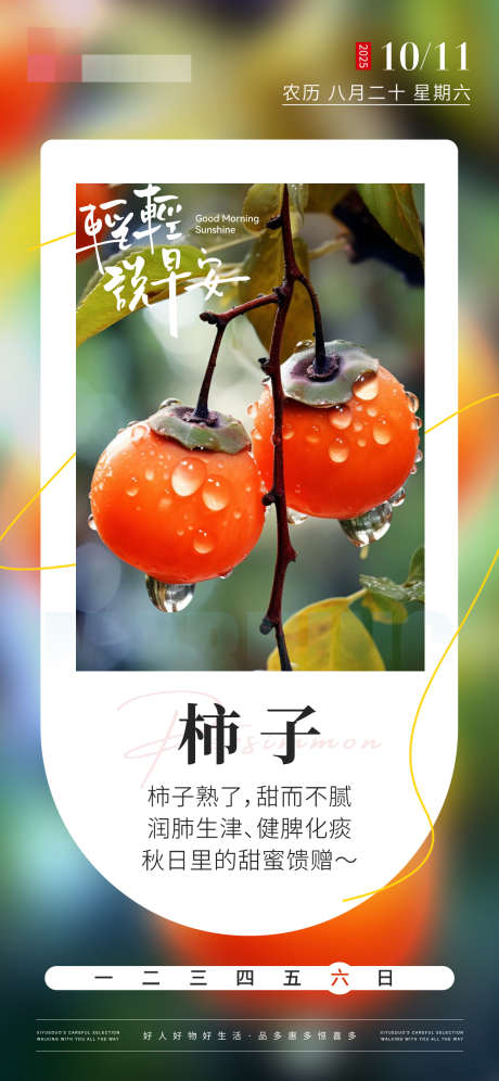 生活日历应季水果柿子海报_源文件下载_PSD格式_1242X2688像素-润肺生津,补水,促蠕动-作品编号:2025101115142713-志ˇ设′网