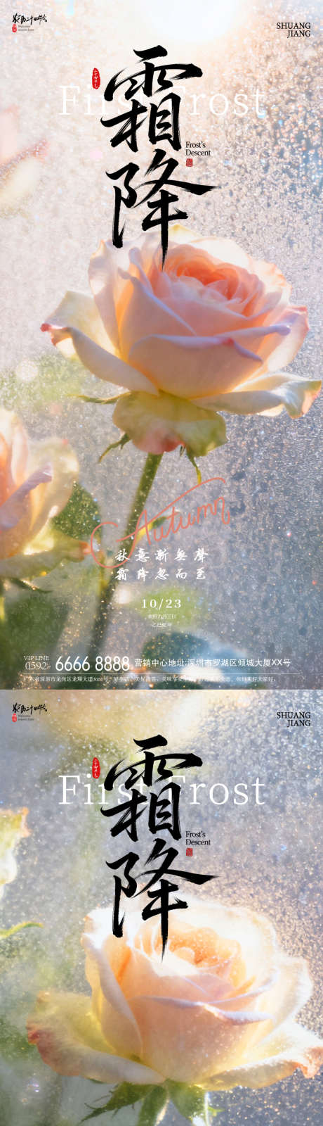 霜降鲜花海报_源文件下载_PSD格式_1080X4620像素-节气,简约,霜降-作品编号:2025101114425683-志′设ˇ网