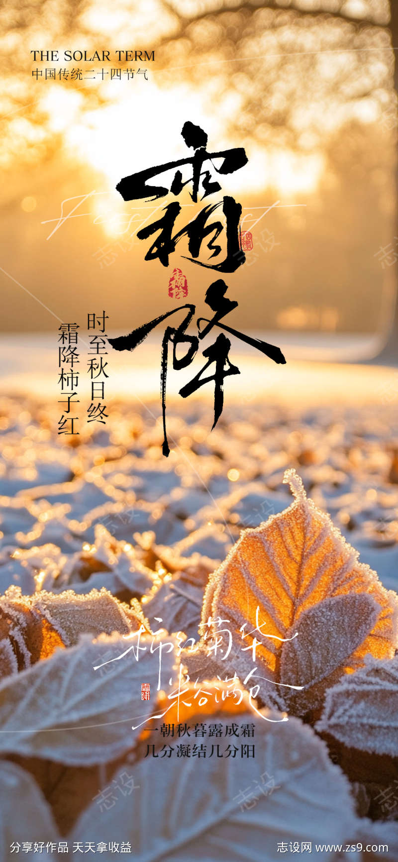 霜降节气海报