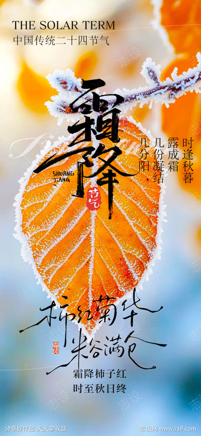 霜降节气海报