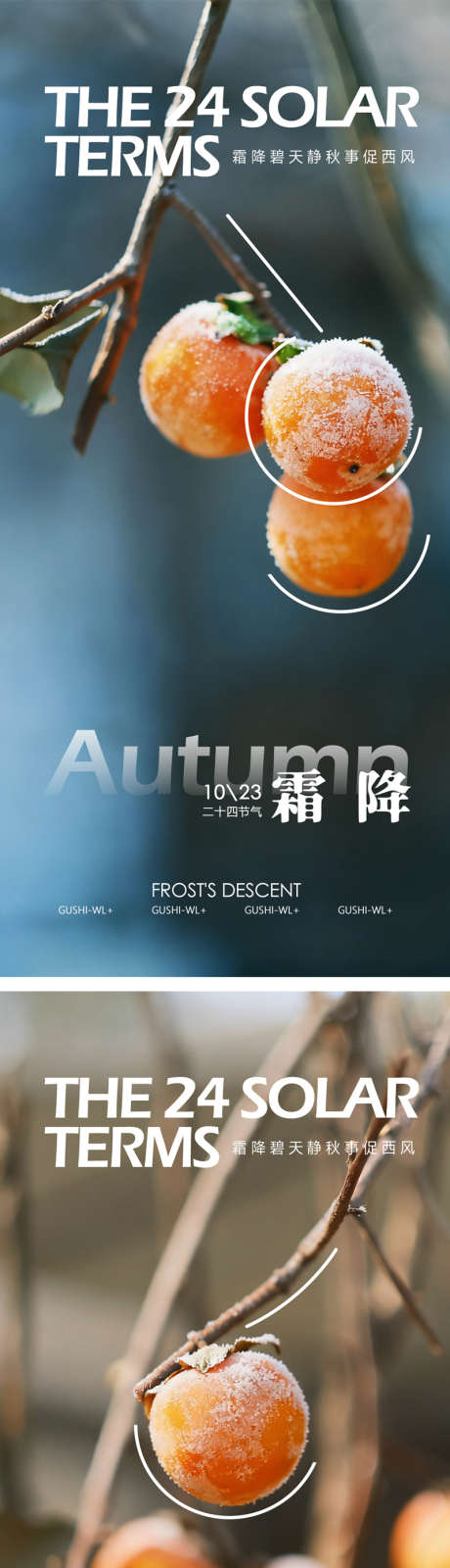 二十四节气霜降海报_源文件下载_PSD格式_1080X2340像素-微信稿,意境,秋季-作品编号:2025101112337428-志‛ۛ设‘网