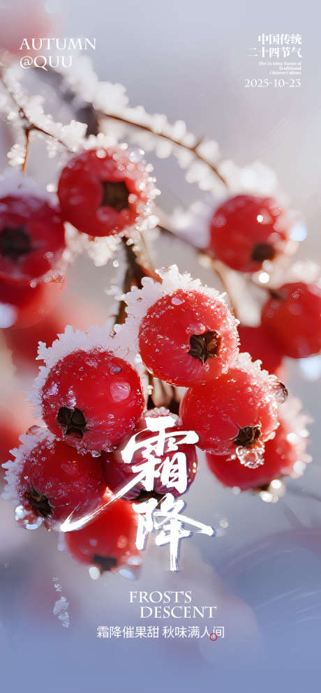 霜降传统节气海报_源文件下载_PSD格式_1080X2332像素-传统,海报,节气-作品编号:2025101217267327-志ˇ设‘网