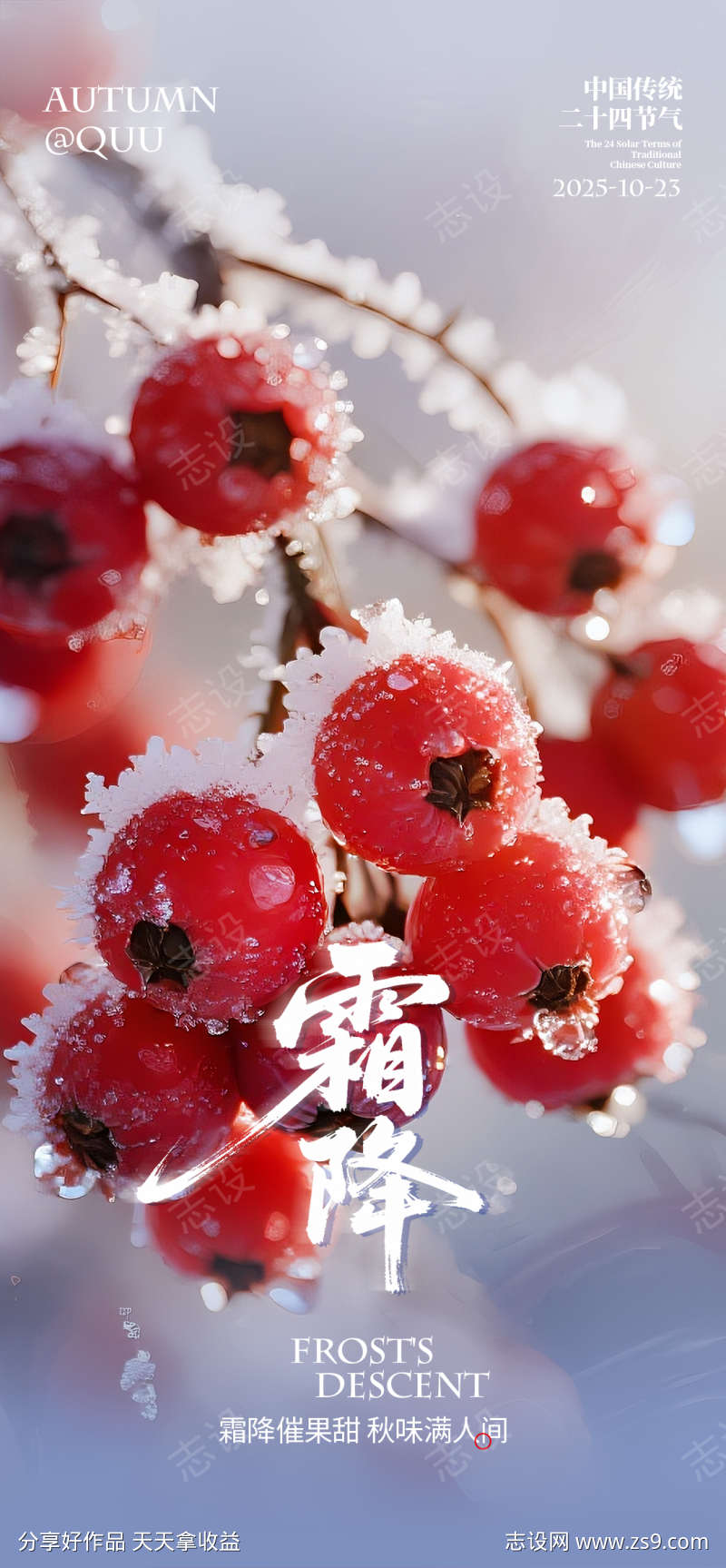 霜降传统节气海报