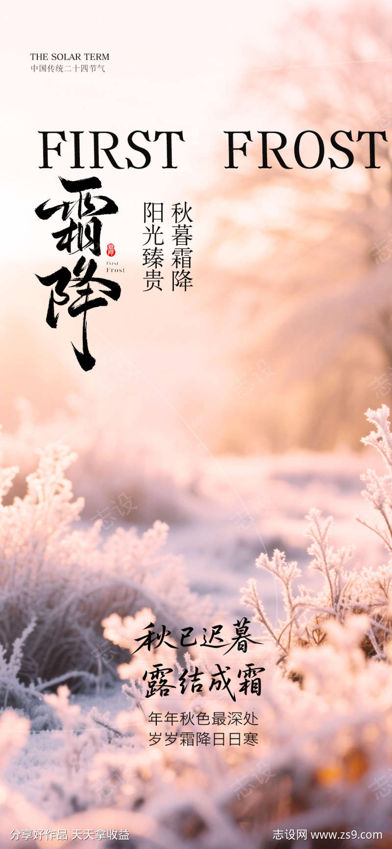 霜降节气海报