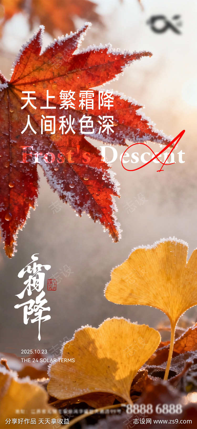 霜降节气海报