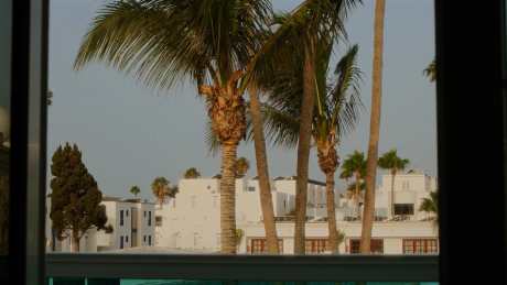 从窗口拍到椰子树_视频素材下载_MP4格式_3840X2160像素-旅游出行,企业宣传,城市风光-作品编号:2025101416069996-志‛ۛ设˰网