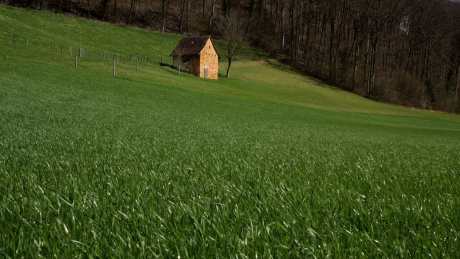 草地小房子_视频素材下载_MP4格式_3840X2160像素-地产服务,企业宣传,自然风光-作品编号:2025101416072179-志˒设˜网