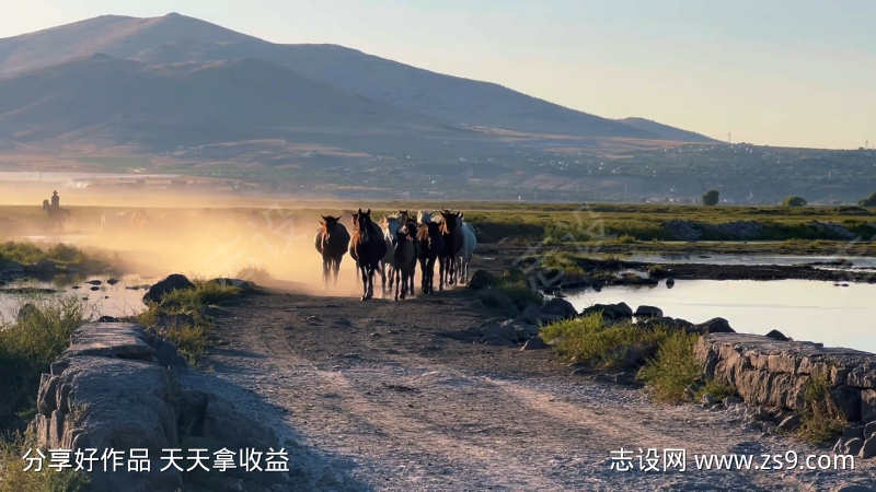 沙尘马群跑过来