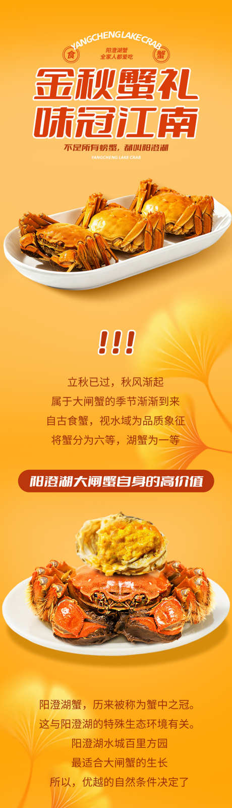 金秋大闸蟹详情页_源文件下载_PSD格式_1080X10996像素-食品,金秋蟹礼,螃蟹-作品编号:2025101514222857-志˜设˜网
