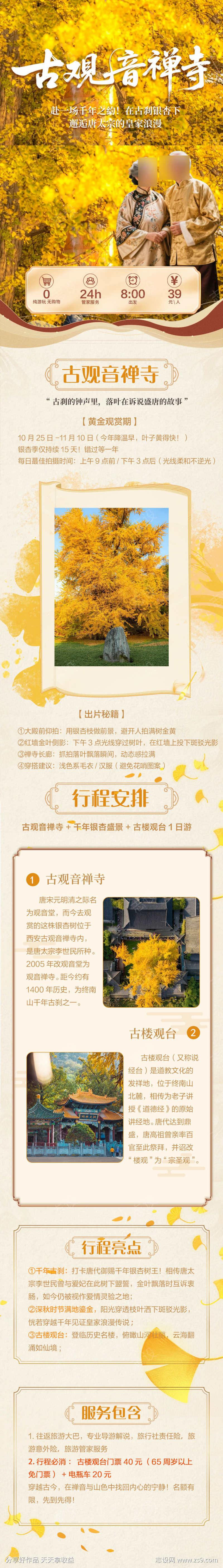 旅游长图银杏