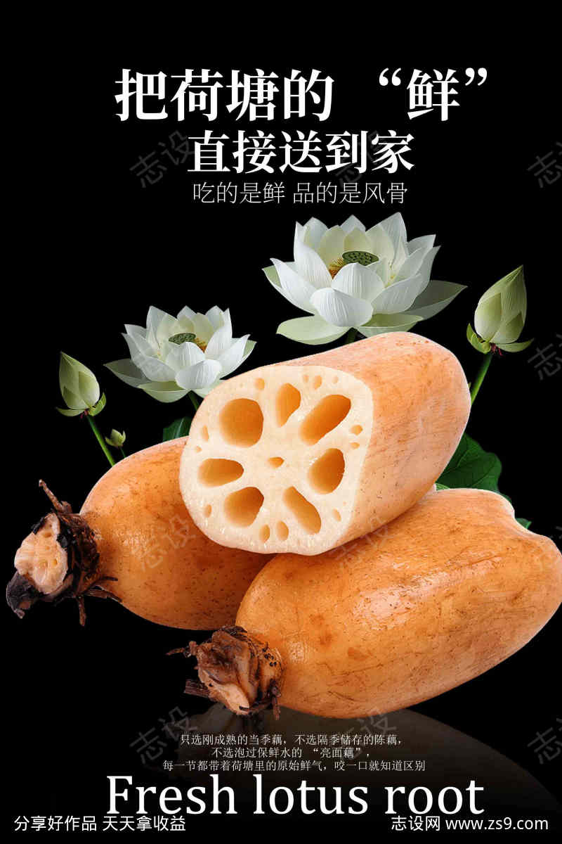 新鲜莲藕食材海报