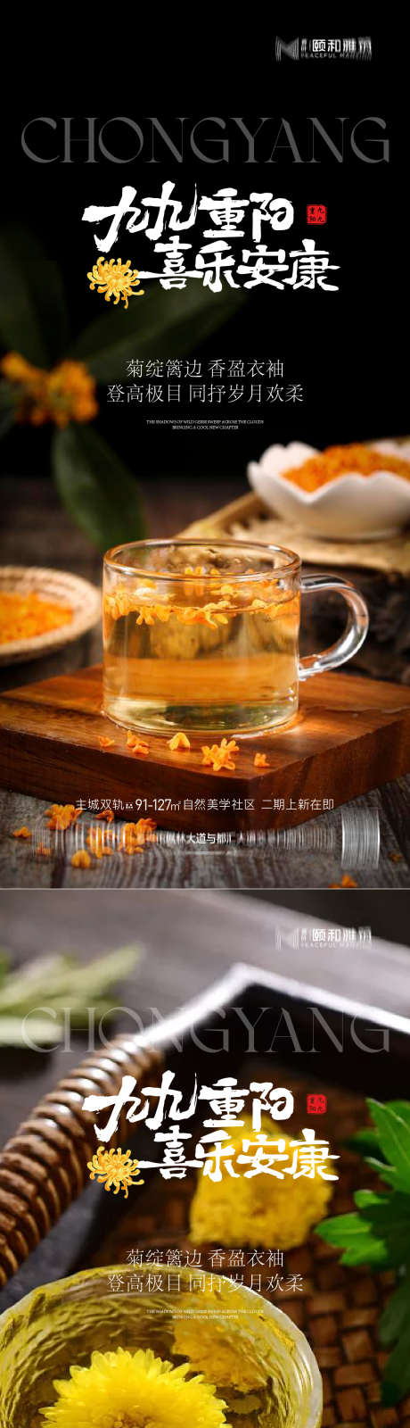 2025重阳节节日海报_源文件下载_AI格式_1125X4872像素-九九,海报,节日-作品编号:2025101814449899-志˙设˙网
