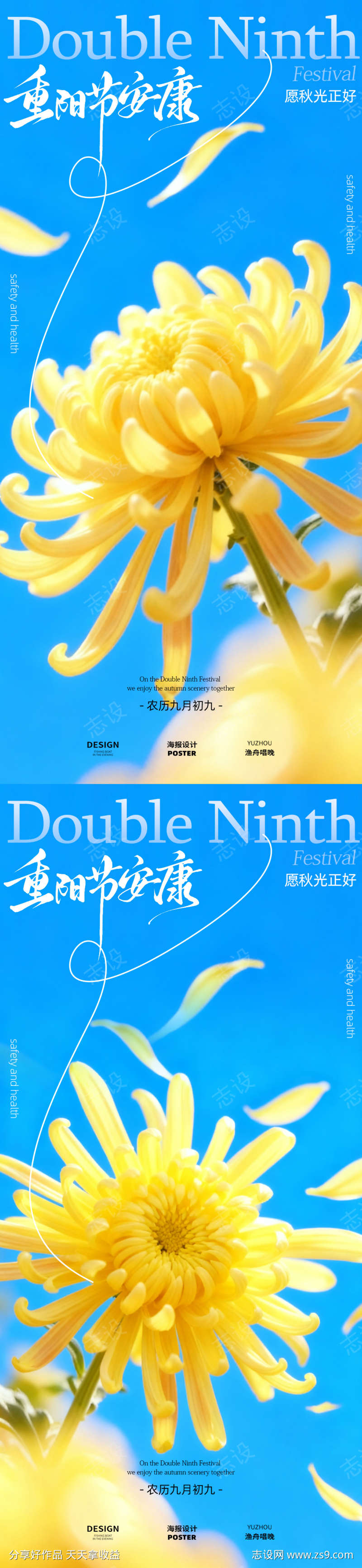 九月菊花设计