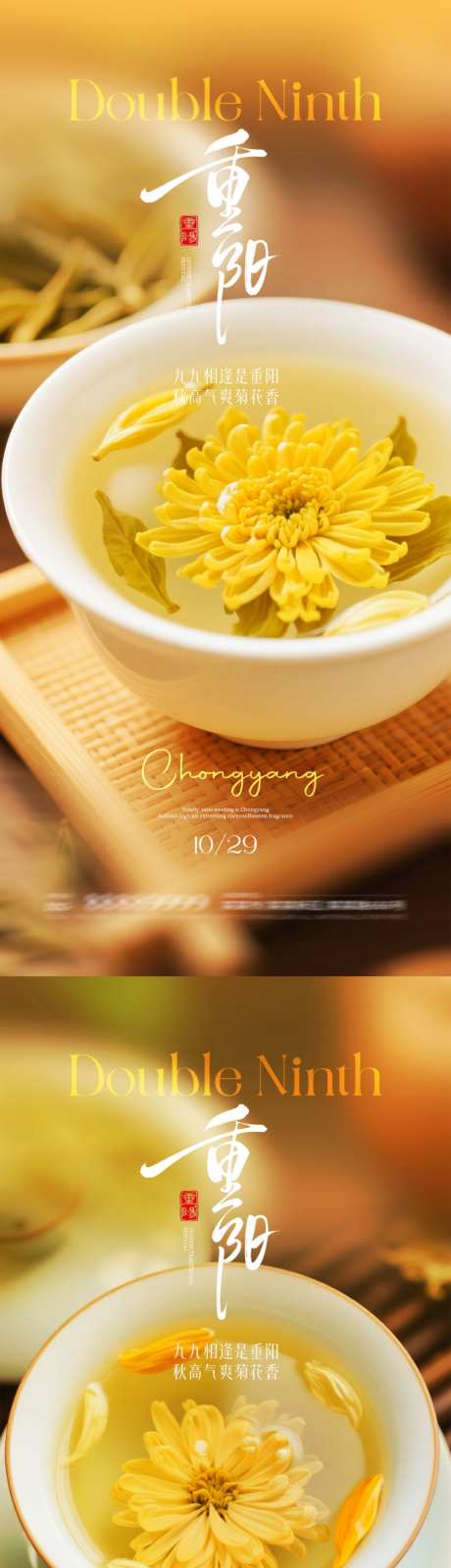 重阳节菊花海报_源文件下载_PSD格式_1080X4672像素-菊花茶,节日,重阳节-作品编号:2025101916375351-志’设˙网