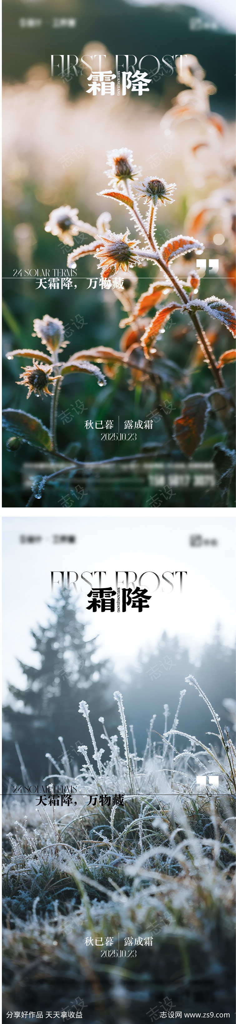 霜降节气海报