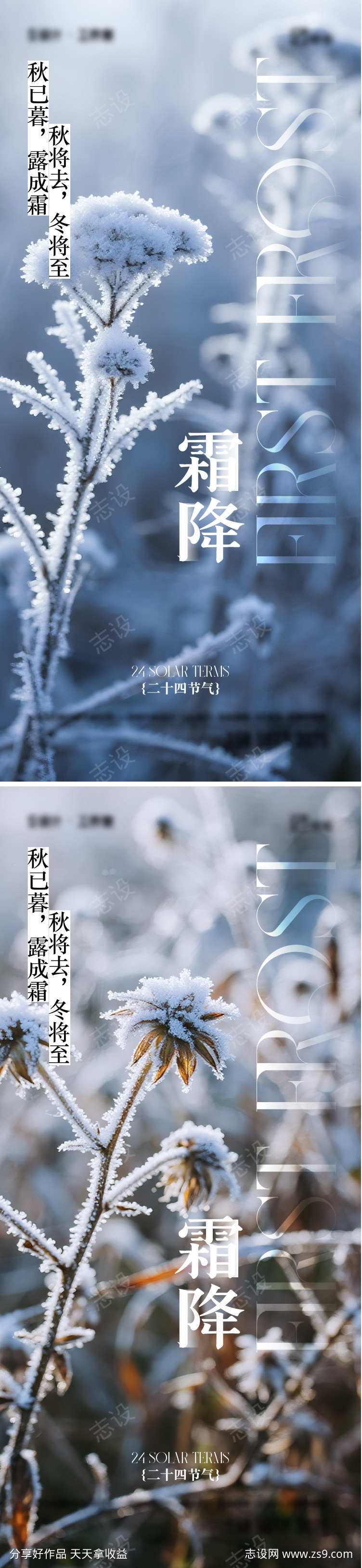 霜降节气海报