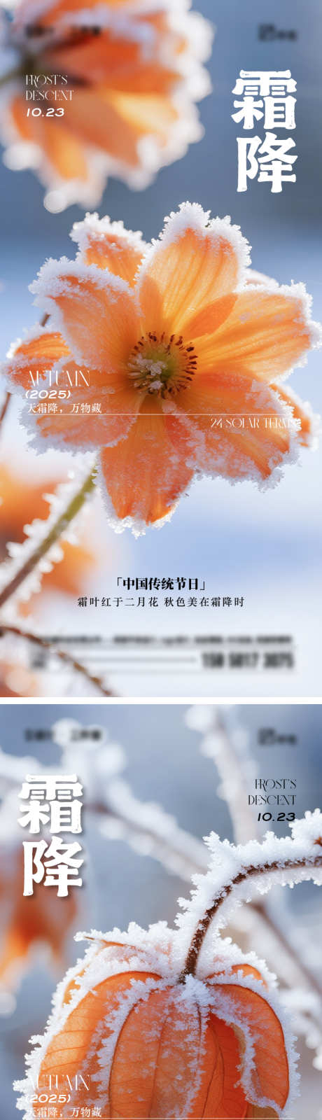 霜降节气海报_源文件下载_AI,PSD格式_750X3264像素-植物,白霜,霜降-作品编号:2025102111091332-志ˆ设,网