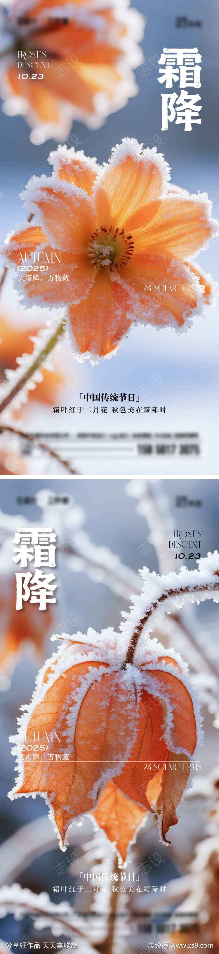 霜降节气海报