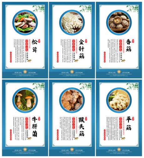蓝色大气美食文化菌菇蘑菇宣传套图蓝色大气_源文件下载_PSD格式_3000X3288像素-套图,宣传,蘑菇-作品编号:2025110212016327-志’设͵网