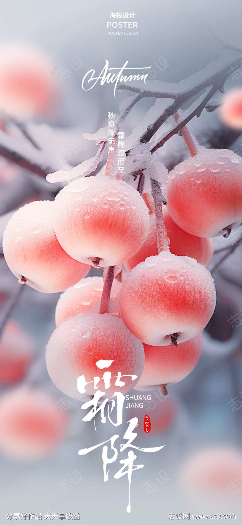 霜降节气系列海报