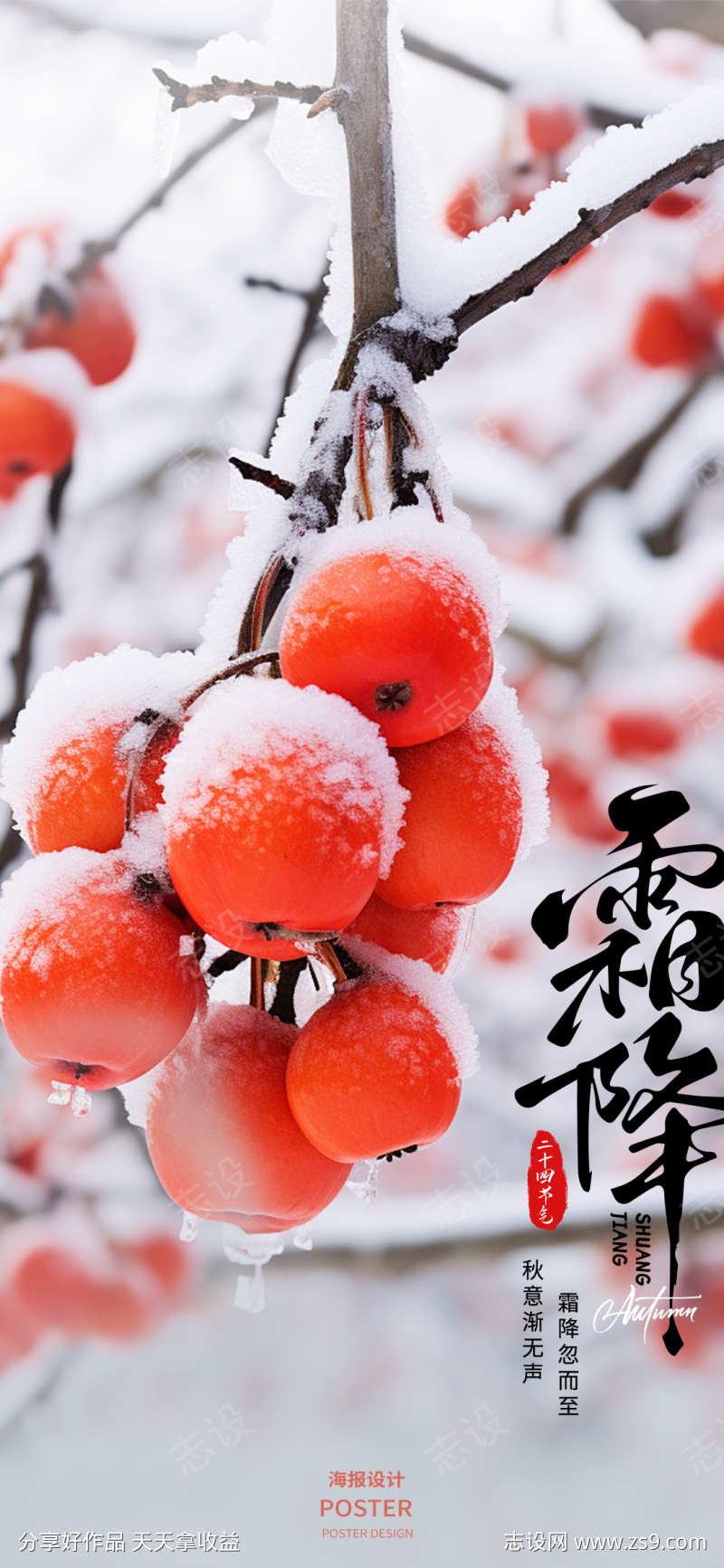 霜降节气系列海报