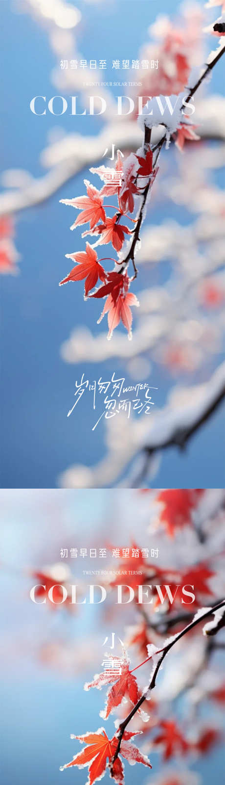 小雪大雪立冬_源文件下载_PSD格式_1080X4676像素-节气,冬天,简约-作品编号:2025110717229573-志˘设′网