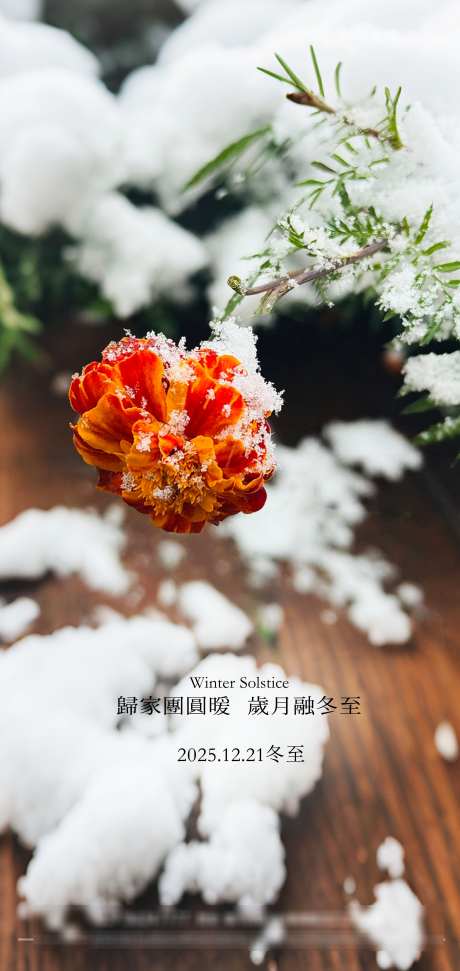 冬至节气海报设计_源文件下载_PSD格式_2480X5236像素-下雪,简约,雪景-作品编号:2025111110017982-志͵设˒网