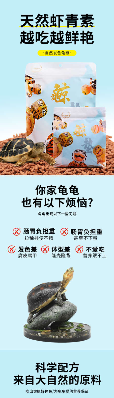 全营养虾青素乌龟粮_源文件下载_PSD格式_790X13977像素-乌龟粮,龟粮,电商-作品编号:2025111214163496-志,设ˇ网