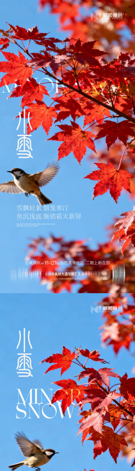 小雪节气节日海报_源文件下载_AI格式_1125X4872像素-枫叶,海报,节气-作品编号:2025111509247923-志˲͓͕͔͐͑͗ٚٛٙ设‛ۛ网