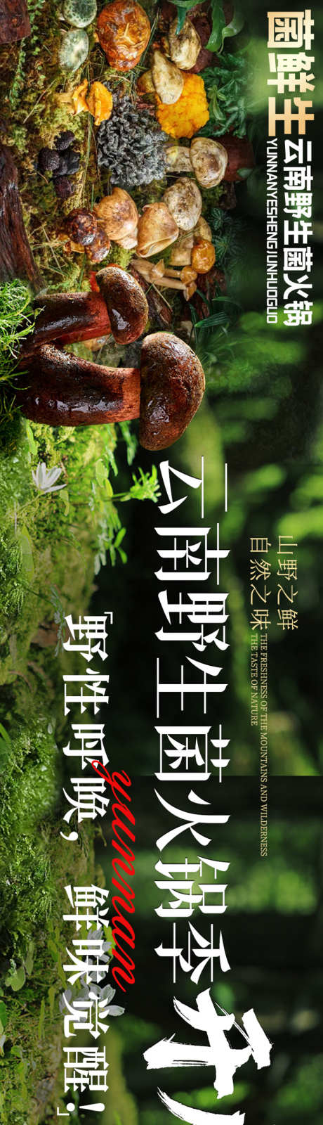 大众点评野生菌五连图设计_源文件下载_PSD格式_750X5000像素-banner,大众点评,五连图-作品编号:2025111301235246-志ˌ设`网