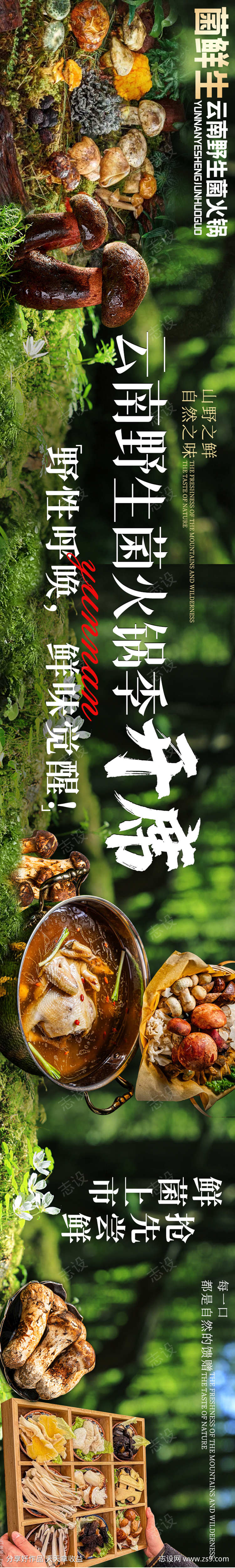 大众点评野生菌五连图设计