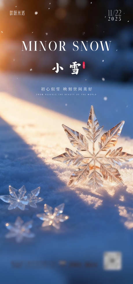 节气小雪海报_源文件下载_PSD格式_1380X2947像素-海报,雪景,下雪-作品编号:2025111515212754-志˰设ˈ̹网