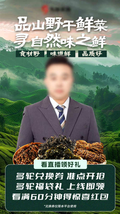 溯源深山野菜人物海报_源文件下载_PSD格式_1080X1920像素-商务,直播,销售-作品编号:2025111808424281-志ˉ设ˆ网
