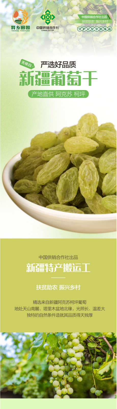 新疆葡萄干电商设计_源文件下载_CDR格式_750X8554像素-新疆,葡萄,电商-作品编号:2025112210072928-志˓设‛ۛ网