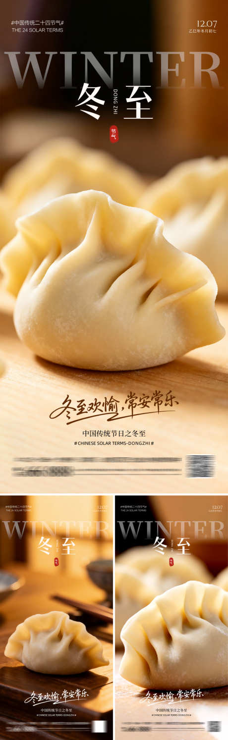 冬至饺子系列海报_源文件下载_PSD格式_1125X3653像素-冬至,二十四节气,房地产-作品编号:2025112210484599-志˘设·网