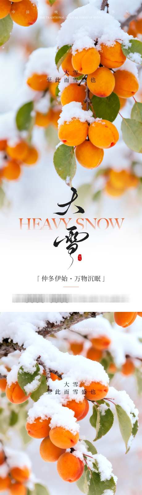 大雪节气海报_源文件下载_AI,PSD格式_1024X4488像素-水果店,果实,文化-作品编号:2025112513062540-志ˆ设’网