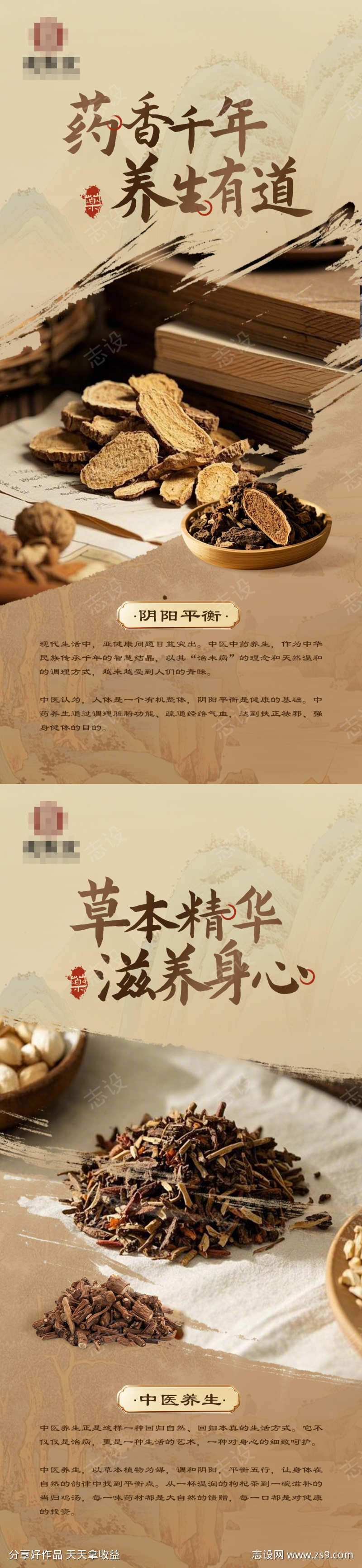 中式中医药养生系列海报