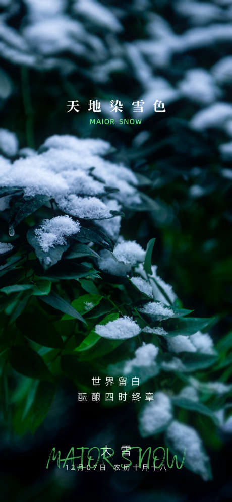 大雪节气海报_源文件下载_PSD格式_750X1624像素-snow,暖冬,雾凇-作品编号:2025112510258033-志‛ۛ设˙网