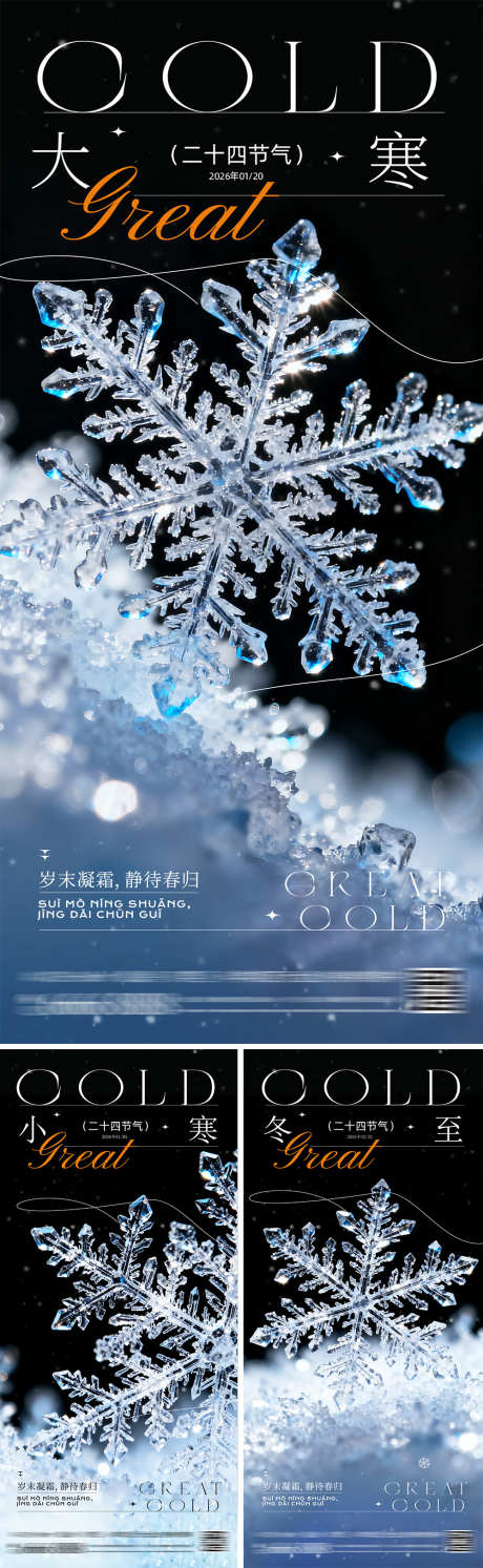 冬至大寒小寒节气系列海报_源文件下载_PSD格式_1000X3246像素-冰雪,创意,房地产-作品编号:2025112909097218-志͵设′网