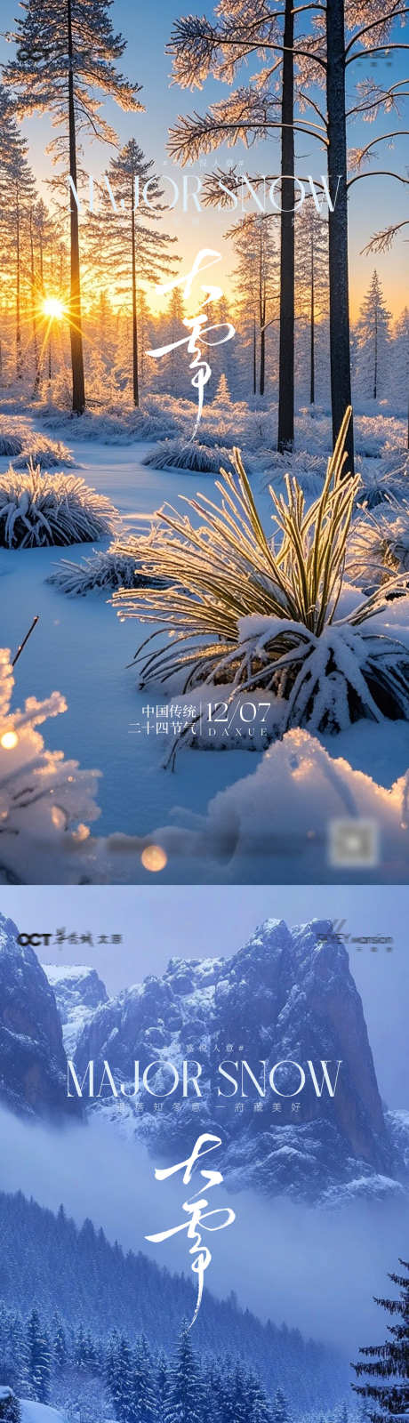 大雪节气海报_源文件下载_PSD格式_1080X4676像素-简约,高端,大雪-作品编号:2025113010096055-志˜设˱网