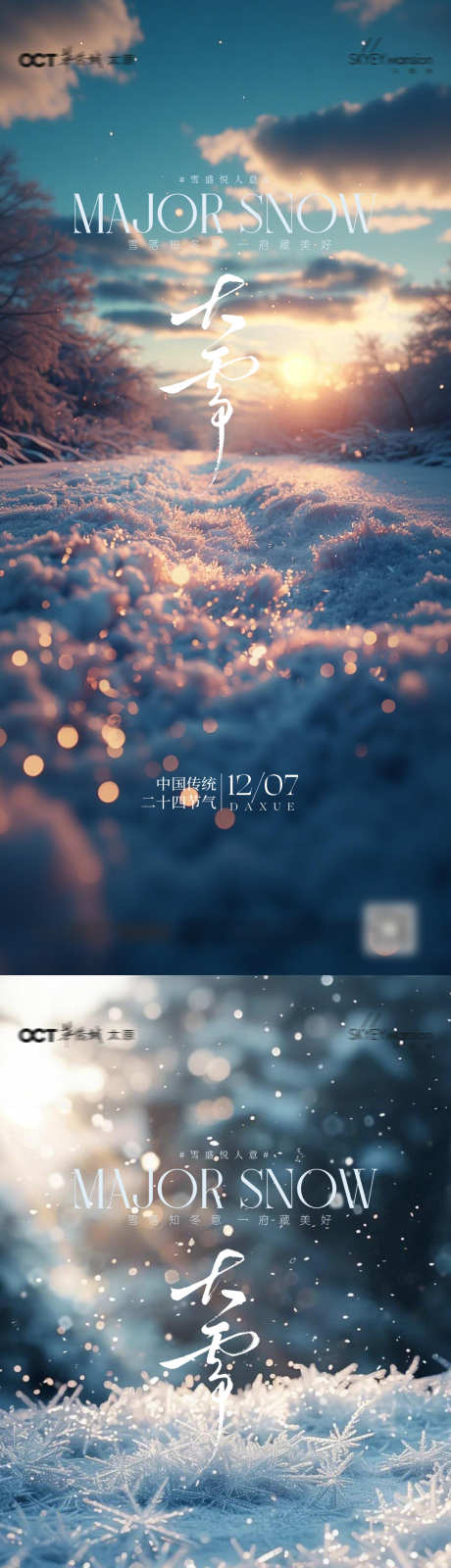 大雪节气海报_源文件下载_PSD格式_1080X4676像素-简约,高端,大雪-作品编号:2025113010229909-志‘设′网