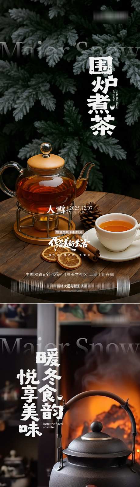 大雪节气海报_源文件下载_AI格式_1125X4872像素-海报,节气,大雪-作品编号:2025120117215198-志`设˘网