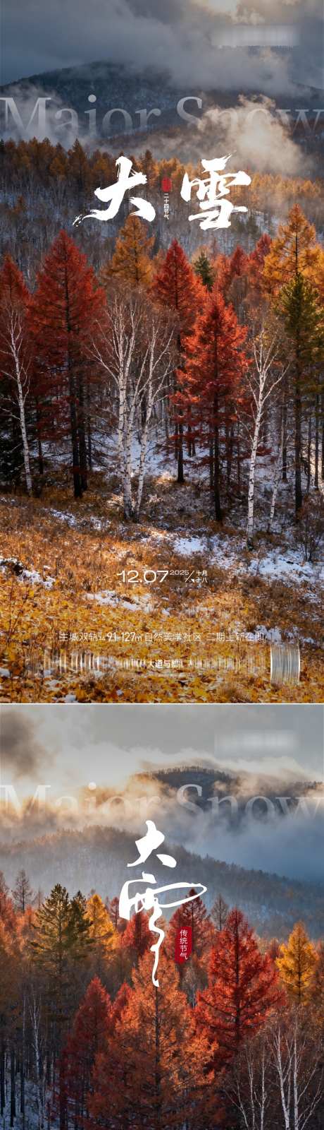 大雪节气海报_源文件下载_AI格式_1125X4872像素-节气,大雪,冬天-作品编号:2025120116184699-志‛ۛ设ʹ֣֤֚֫֗ׄ网
