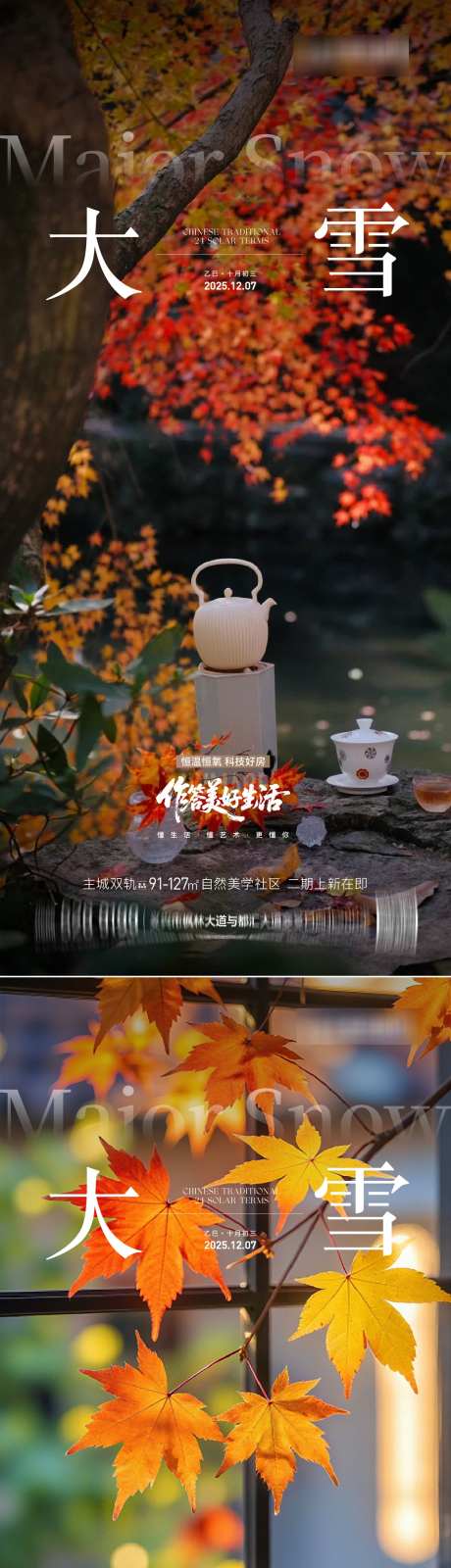 大雪节气海报_源文件下载_AI格式_1125X4872像素-海报,节气,大雪-作品编号:2025120116174574-志͵设,网
