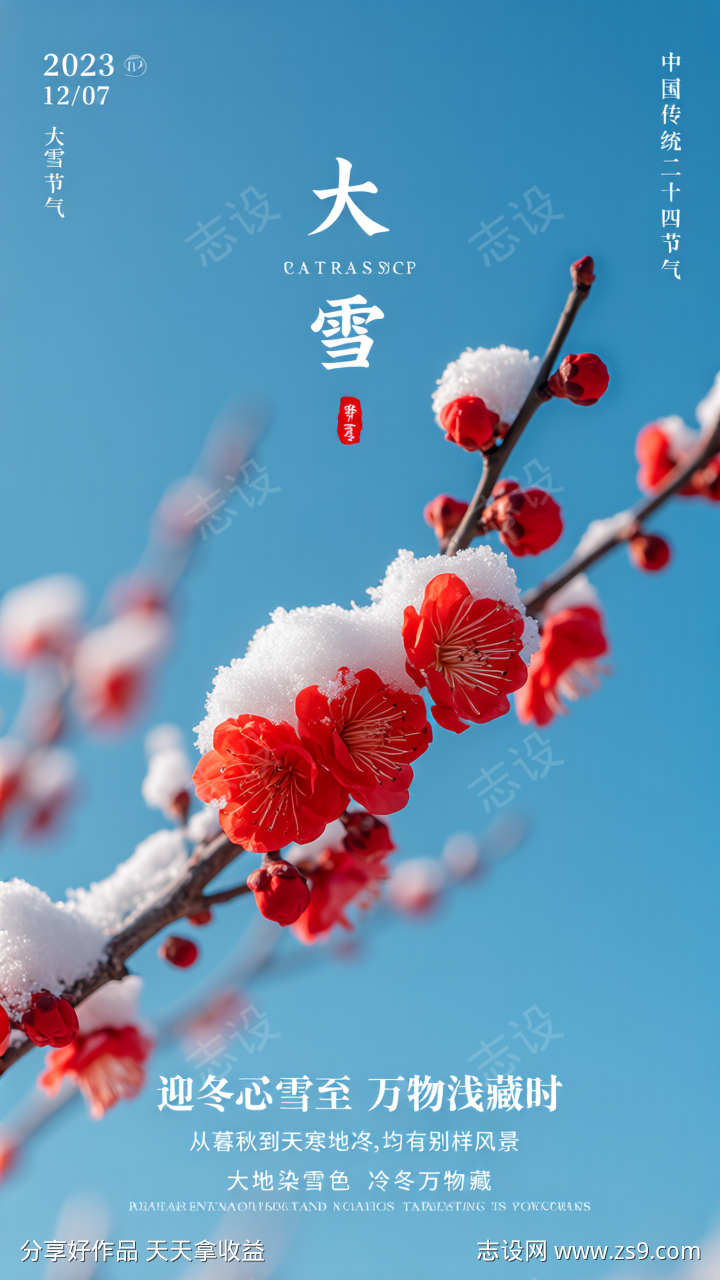 二十四节气大雪主题海报